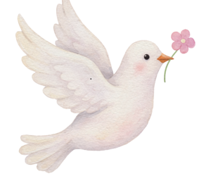 Finding Peace in a Busy Life