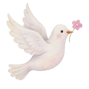 Finding Peace in a Busy Life